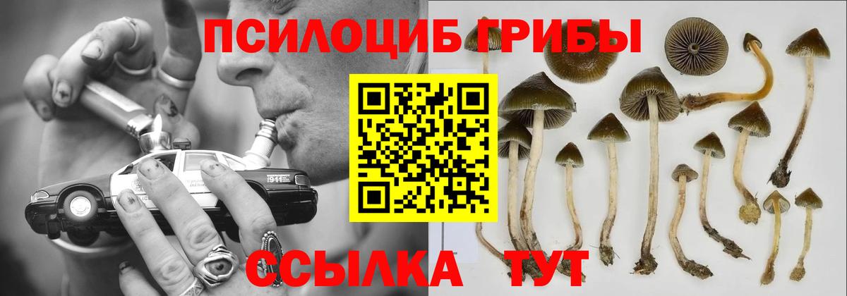 Вольск  Псилоцибиновые грибы Psilocybe  Галлюциногенные грибы Magic Shrooms  Вход с VPN 